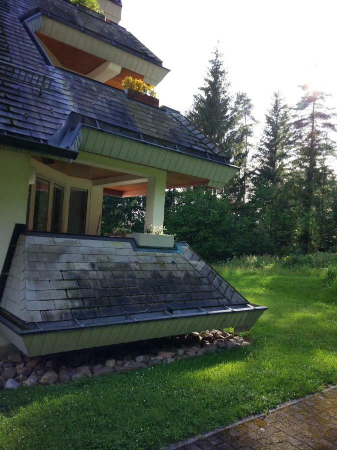Black Forest Bollenhut Deluxe Lenzkirch Zewnętrze zdjęcie
