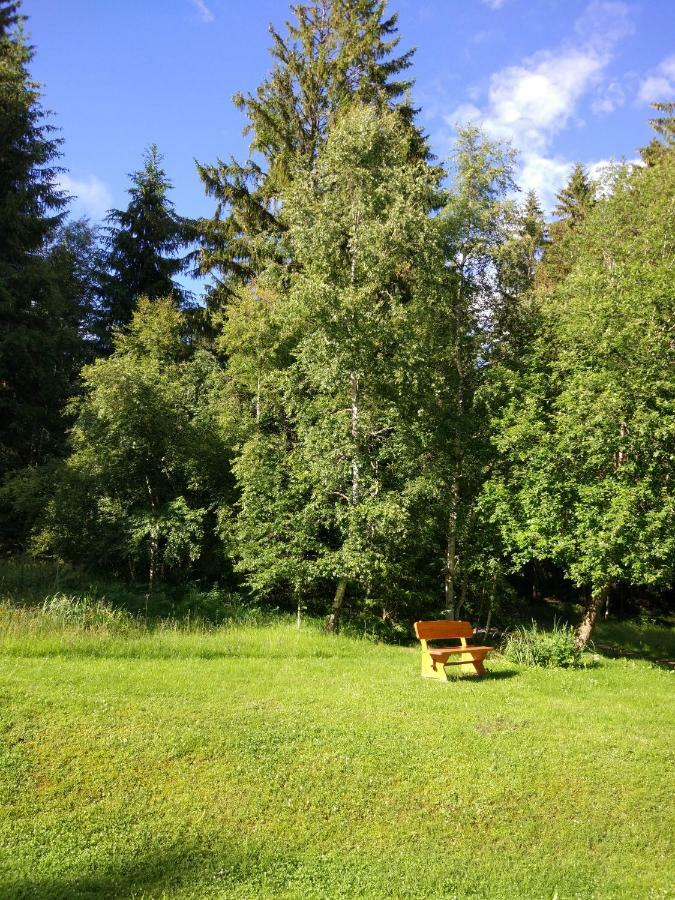 Black Forest Bollenhut Deluxe Lenzkirch Zewnętrze zdjęcie