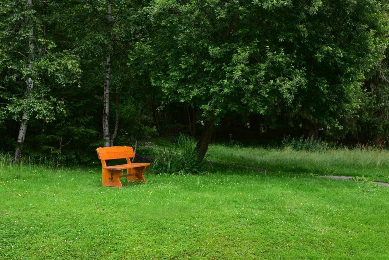 Black Forest Bollenhut Deluxe Lenzkirch Zewnętrze zdjęcie