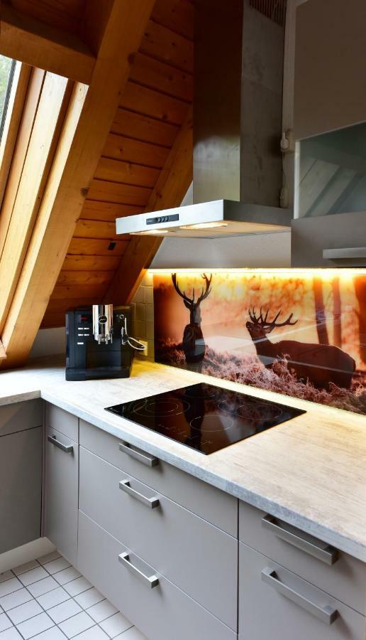 Black Forest Bollenhut Deluxe Lenzkirch Zewnętrze zdjęcie